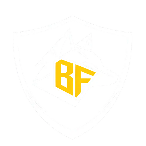 Black Fox Security Group Inc: security system installer work