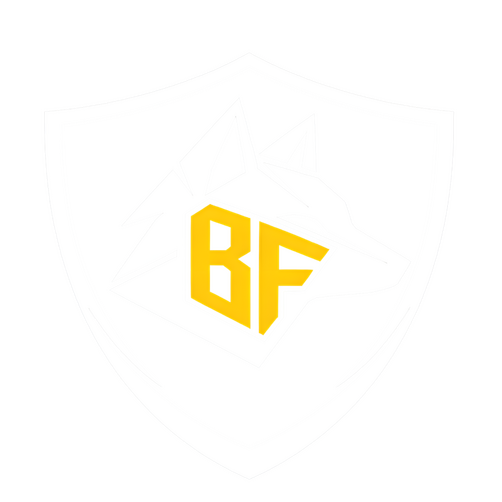 Black Fox Security Group Inc